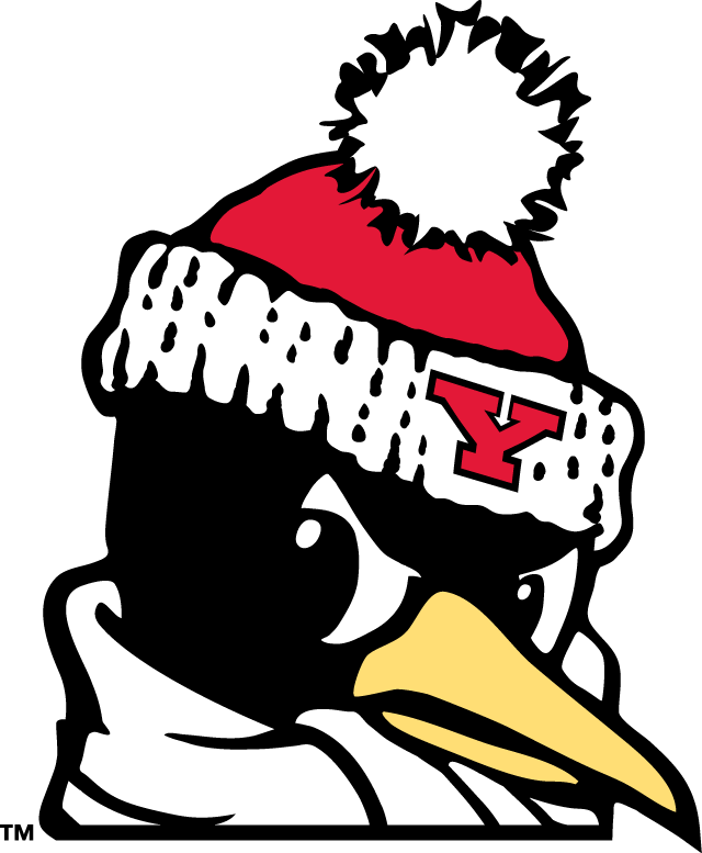 Youngstown State Penguins 1993-Pres Alternate Logo 06 vinyl decal